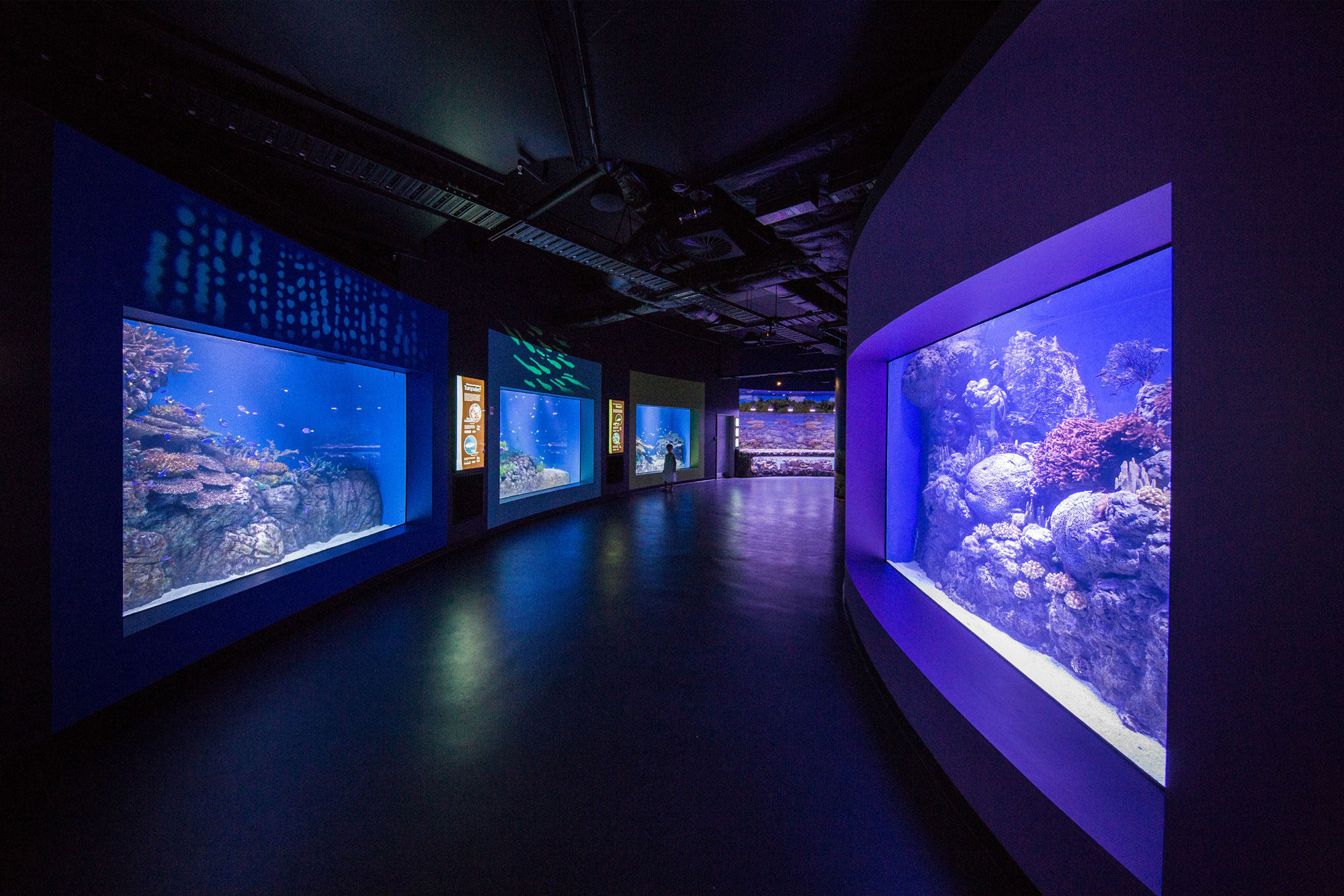 Cairns Aquarium And Research Facility FKG