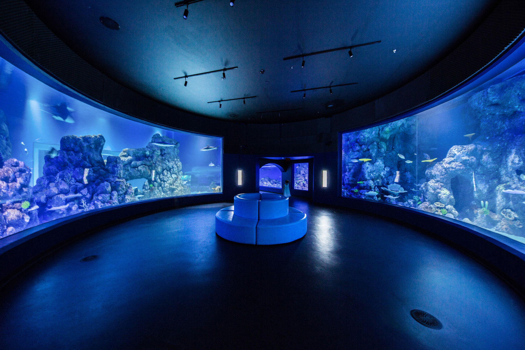 cairns-aquarium-and-research-facility